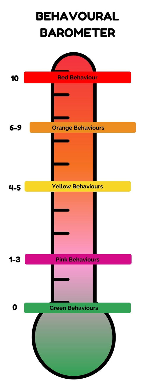 Behavioural Barometer Tool